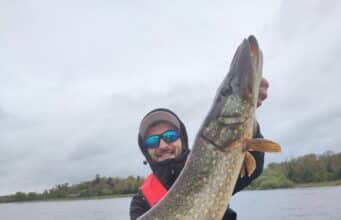 198 Pike for French Anglers at Melview Fishing Lodge in Longford Julien with one of many.