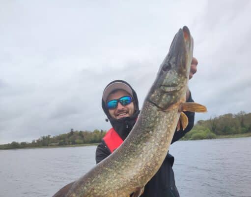 198 Pike for French Anglers at Melview Fishing Lodge in Longford Julien with one of many.