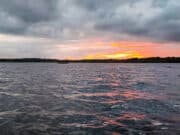 Irish Angling Update 🎣 24 May 2024