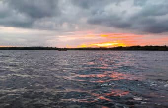 Irish Angling Update 🎣 24 May 2024