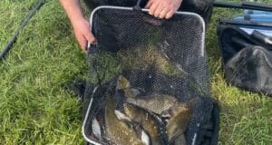 Naas anglers knock-up brings plenty of bream and tench