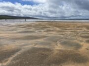 Nice flatfish but no bass in Fanore