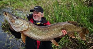 Big fish on the move in Killeshandra
