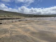 Bass and flounder at Fanore for Galway Bay SAC