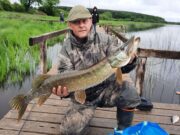 Pike a bit bite-shy, but tench on top form for Newbridge Anglers
