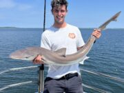 Good tope and mixed species fishing in Clare
