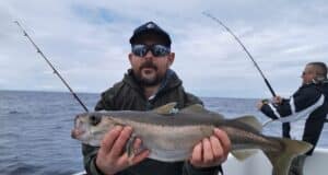 Wrecks producing fine pollack for Wicklow Boat Charters