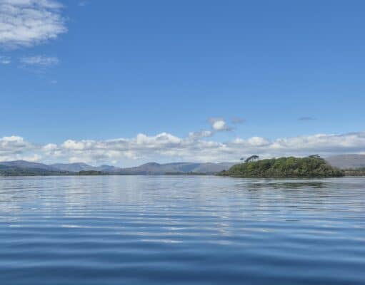 Irish Angling Update 🎣 10 May 2024