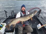 Double hookup of big pike on Lough Ree big pike