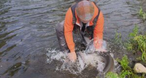 Damien Lawless 3 rd cast Thursday morning at Blackwater Salmon