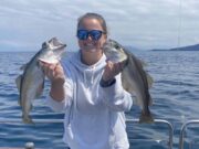 Charter boats in Kerry report a good start to their season