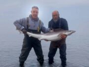 Super shore-caught 163cm tope for Peter Boland