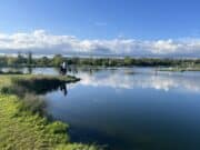 Ardaire Springs Angling Fair 2024 Adaire Springs