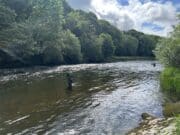 Nymphs working well for trout on the Nore