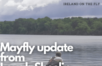 ireland on the fly