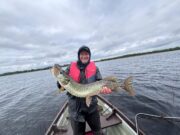 Dutch anglers enjoy a good week’s pike angling at Melview Fishing Lodge