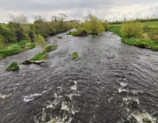 Super fishing on Kells Blackwater – Piscari-Fly Newsletter 30 April