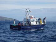 Irish Angling Update π£ 31 May 2024