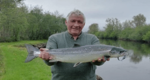 Some nice double figure salmon from the Moy