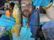 L’ile Verte Pike Fishing Lodge – lure colours