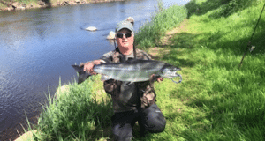 Steady catches on the Moy, with a handful of double figure salmon landed