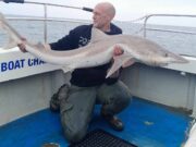 Angling clubs getting great fishing with Wicklow Charters Tope