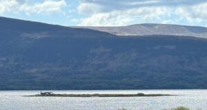 currane