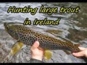 Super trout for George on Streamer