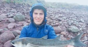 Good bassing and mullet despite cold in Kerry mullet