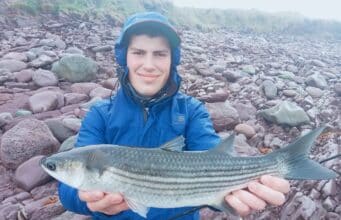 Good bassing and mullet despite cold in Kerry mullet