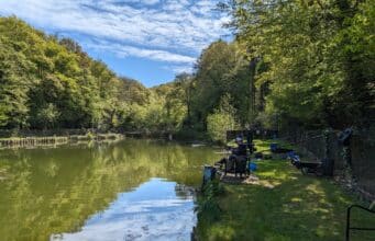 oaklands in May