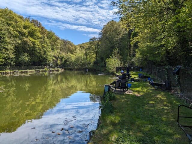 oaklands in May