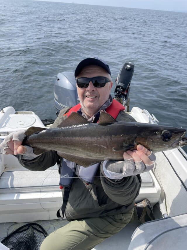The comedian Bob Stevenson with a fine Pollack on the fly.