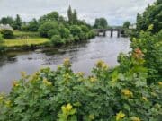 Anglers on the Moy see more grilse running as catches improve further