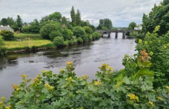 Anglers on the Moy see more grilse running as catches improve further