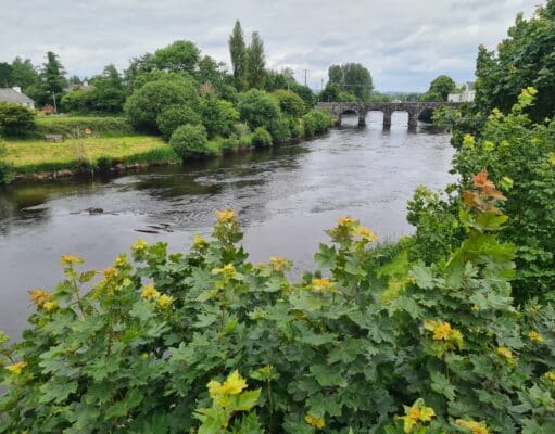 Irish Angling Update ๐ฃ 14 June 2024