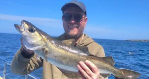 Plenty of fish on Galway Bay reefs