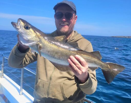 Plenty of fish on Galway Bay reefs