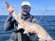 Excellent reef and predator fishing in west Clare