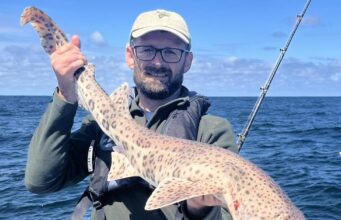 Excellent reef and predator fishing in west Clare