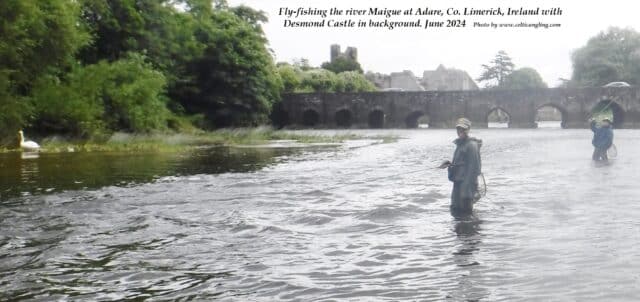 fishing the Maigue