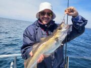 Tope MIA but great reef fishing makes up for it in Galway Bay