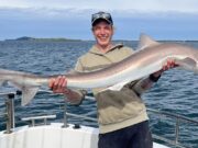 Good tope fishing continues in Shannon Estuary