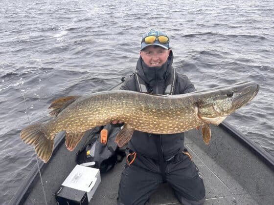 Another pike for Senan