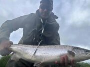 Some smashing salmon fishing reported on the Blackwater Birthday Salmon at Fortwilliam