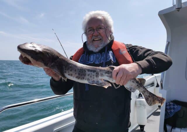 Bullhuss for our visiting dutch angler
