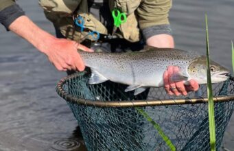 Irish Angling Update 🎣 07 June 2024 sea trout
