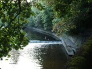 Ireland on the fly: Dublin’s River Dodder, an incredible story of regrowth Dodder