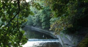 Ireland on the fly: Dublin’s River Dodder, an incredible story of regrowth Dodder