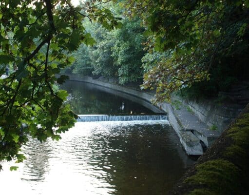 Ireland on the fly: Dublin’s River Dodder, an incredible story of regrowth Dodder